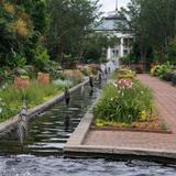 Daniel Stowe Conservancy