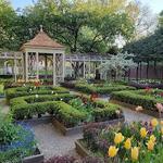 18th Century Garden