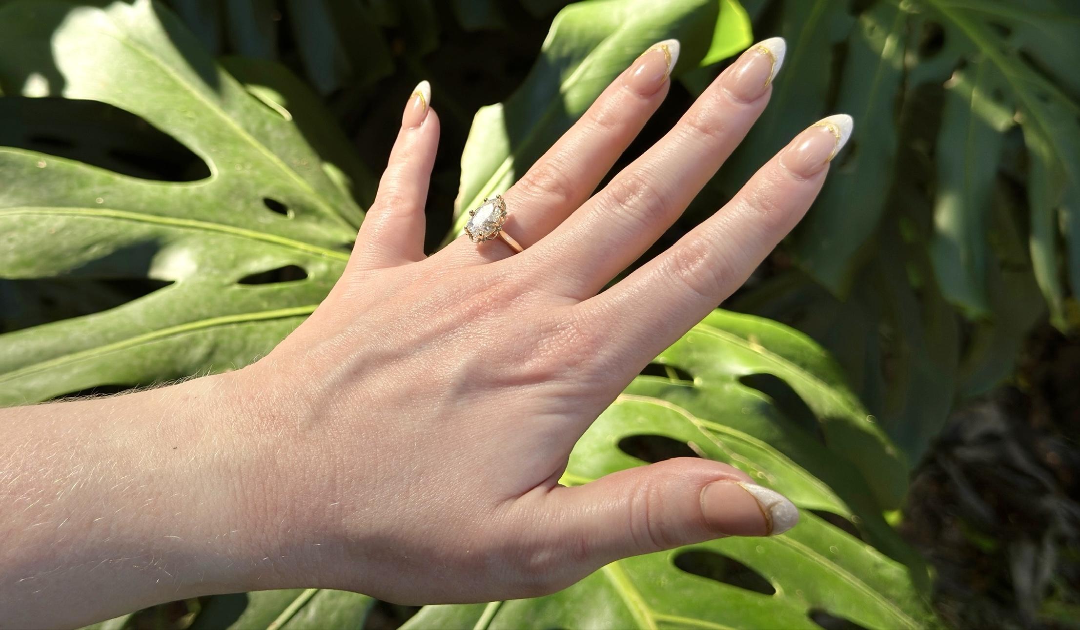 The Wedding Website of Briley Elizabeth Beard and Ezra Rosado