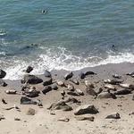 Carpinteria Bluffs Nature Preserve