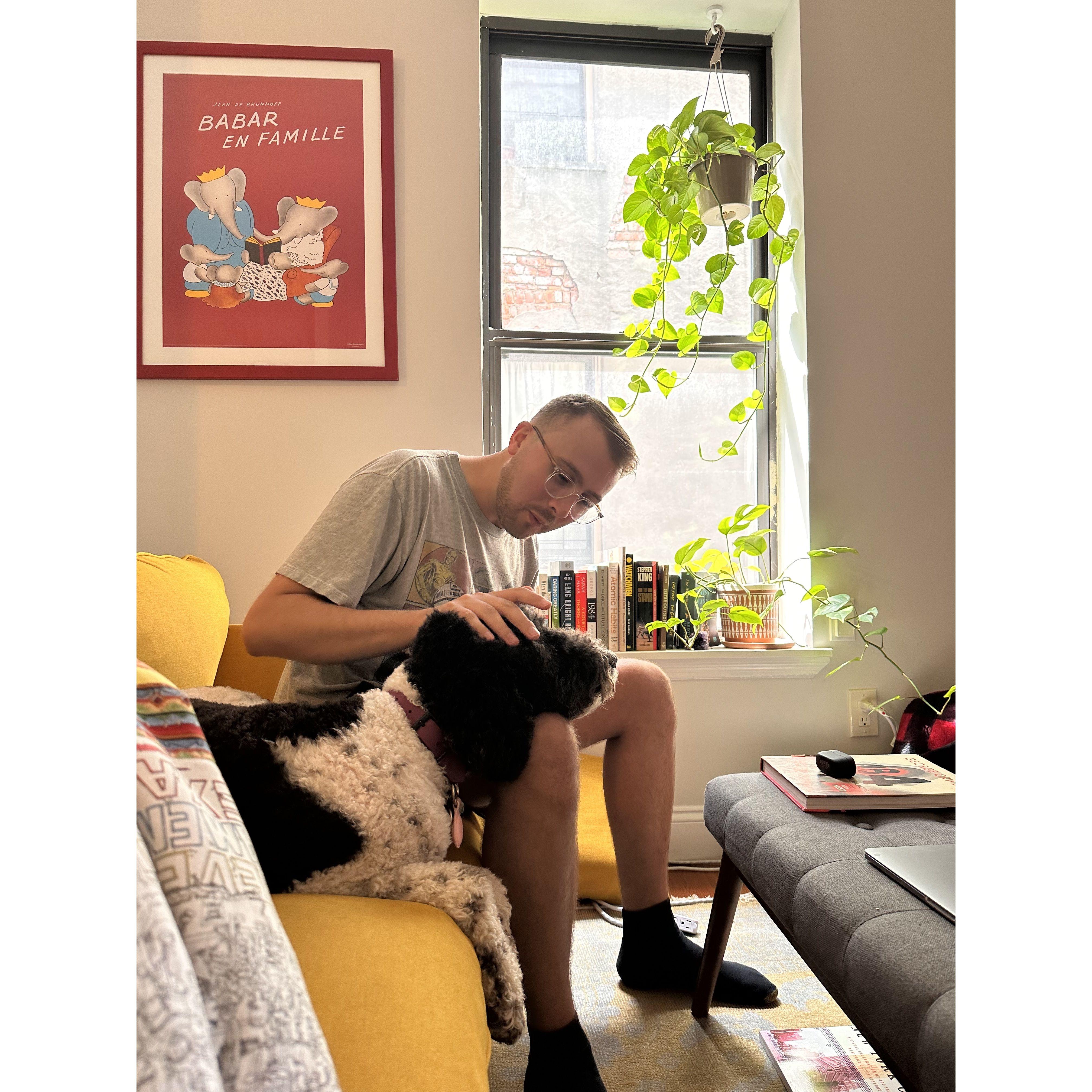 So many cozy afternoons in our little Brooklyn apartment