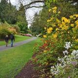 Arboretum Park