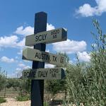 Texas Hill Country Olive Co.