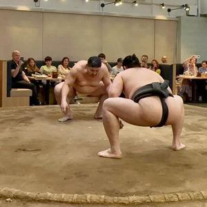 Sumo Wrestling Experience On Our Honeymoon In Japan