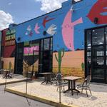 Golden Cactus Brewing
