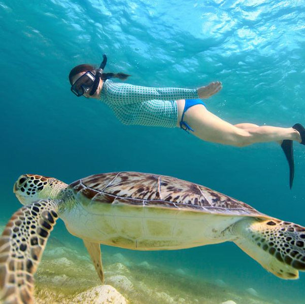 Snorkeling For Two