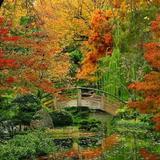 Fort Worth Botanic Garden