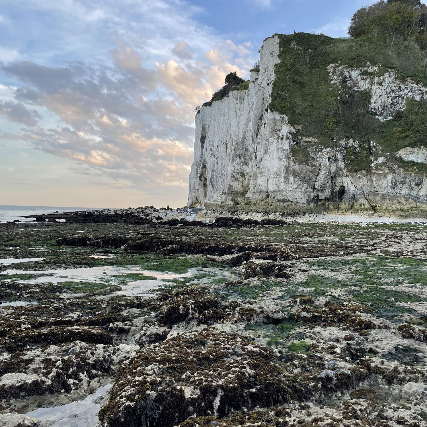 The Dover cliffs