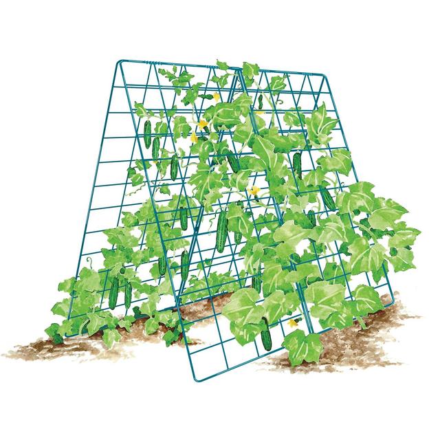 Deluxe Cucumber Trellis