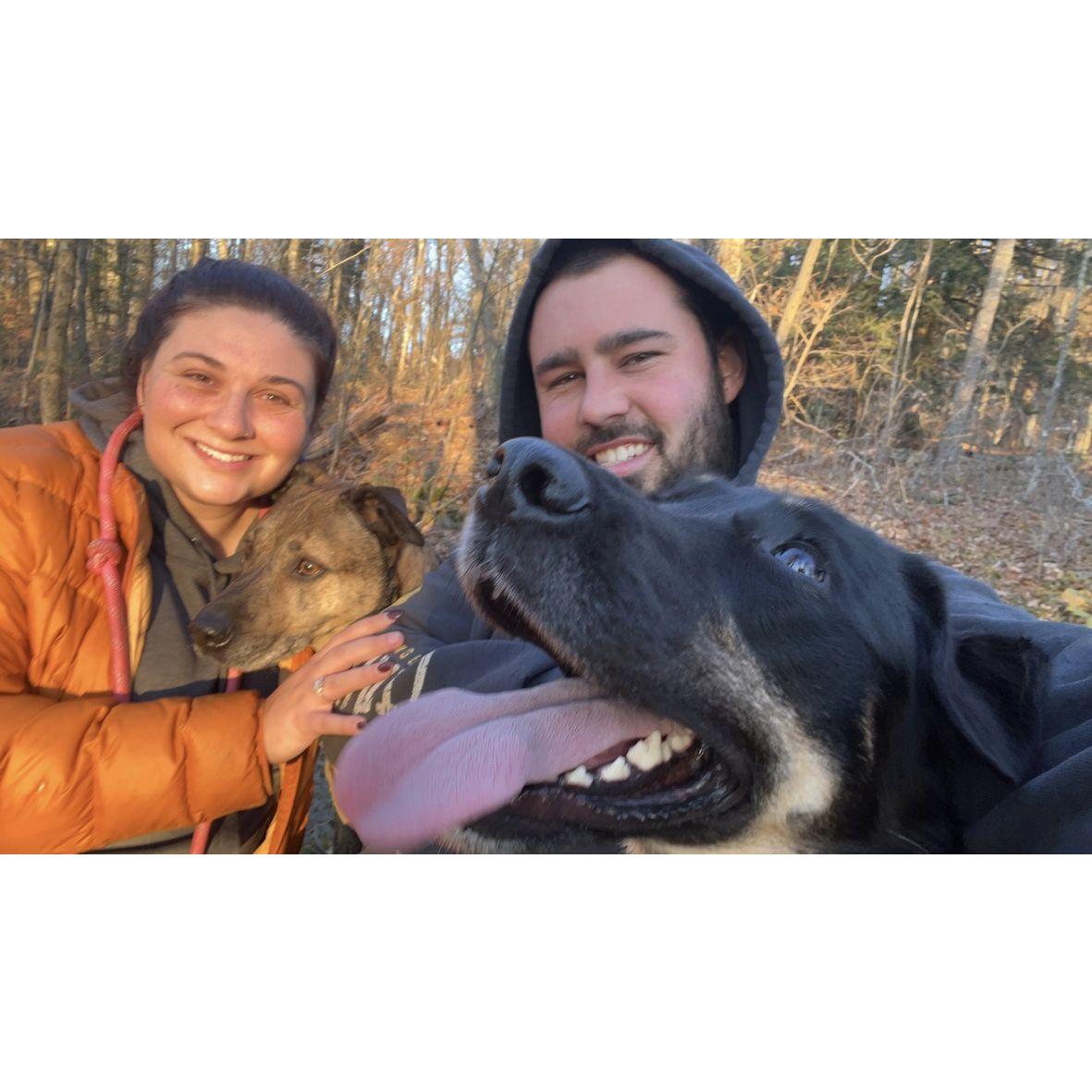 The dogs were very excited!