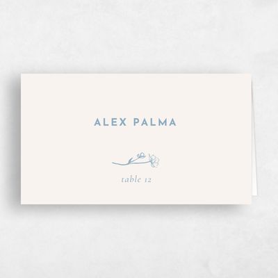 Blue Modern Wedding Place Card - Prins