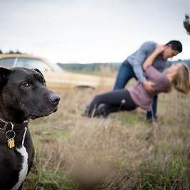 Remy isn't so happy about not being center of attention