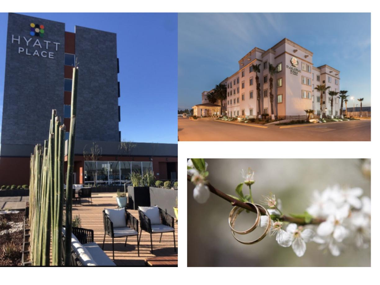 The Wedding Website of Francesca Chamorro and Fabian Sanchez