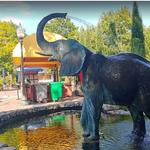 Saint Louis Zoo