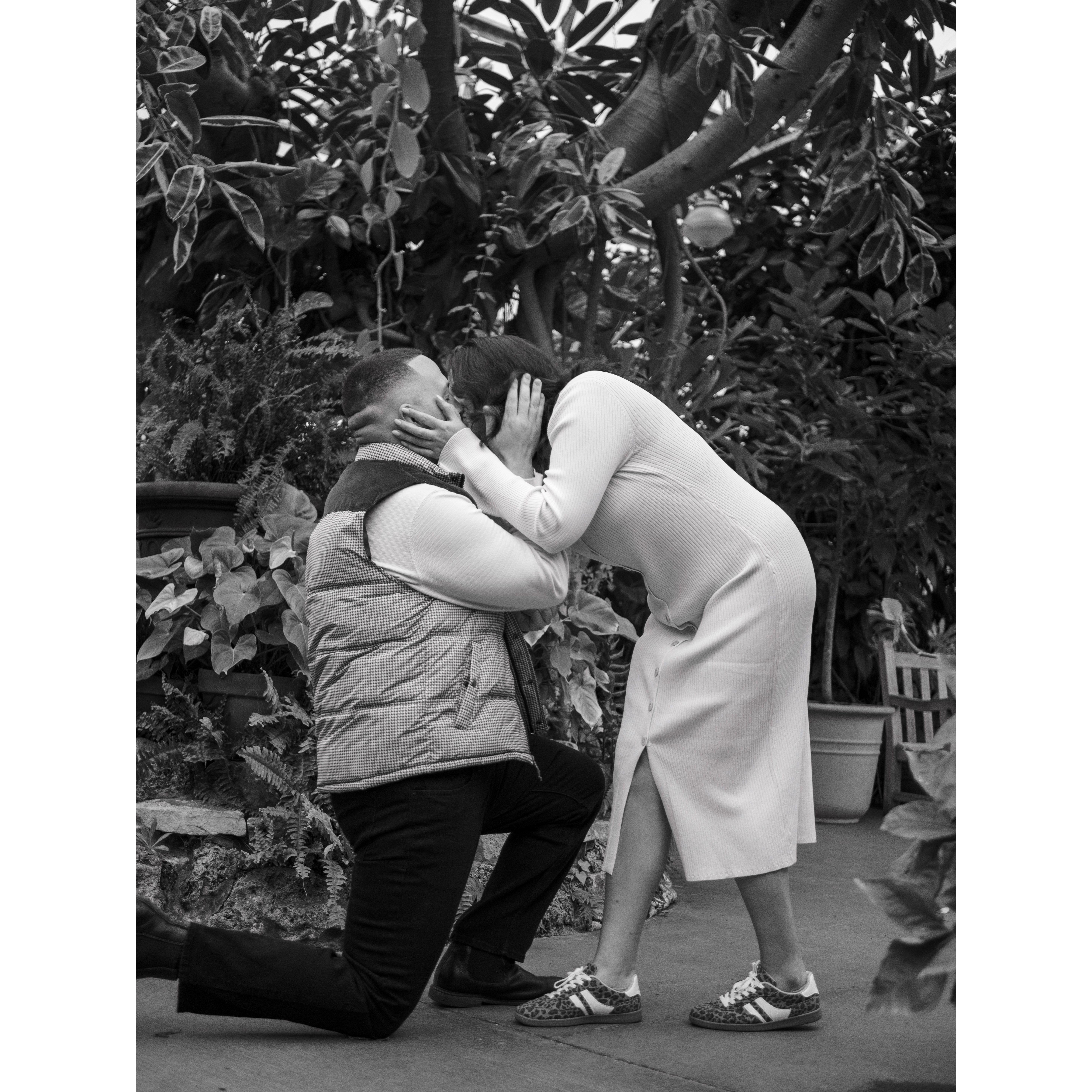 She said YES!