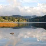 Lake Padden