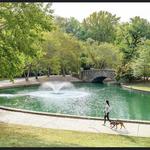 Freedom Park