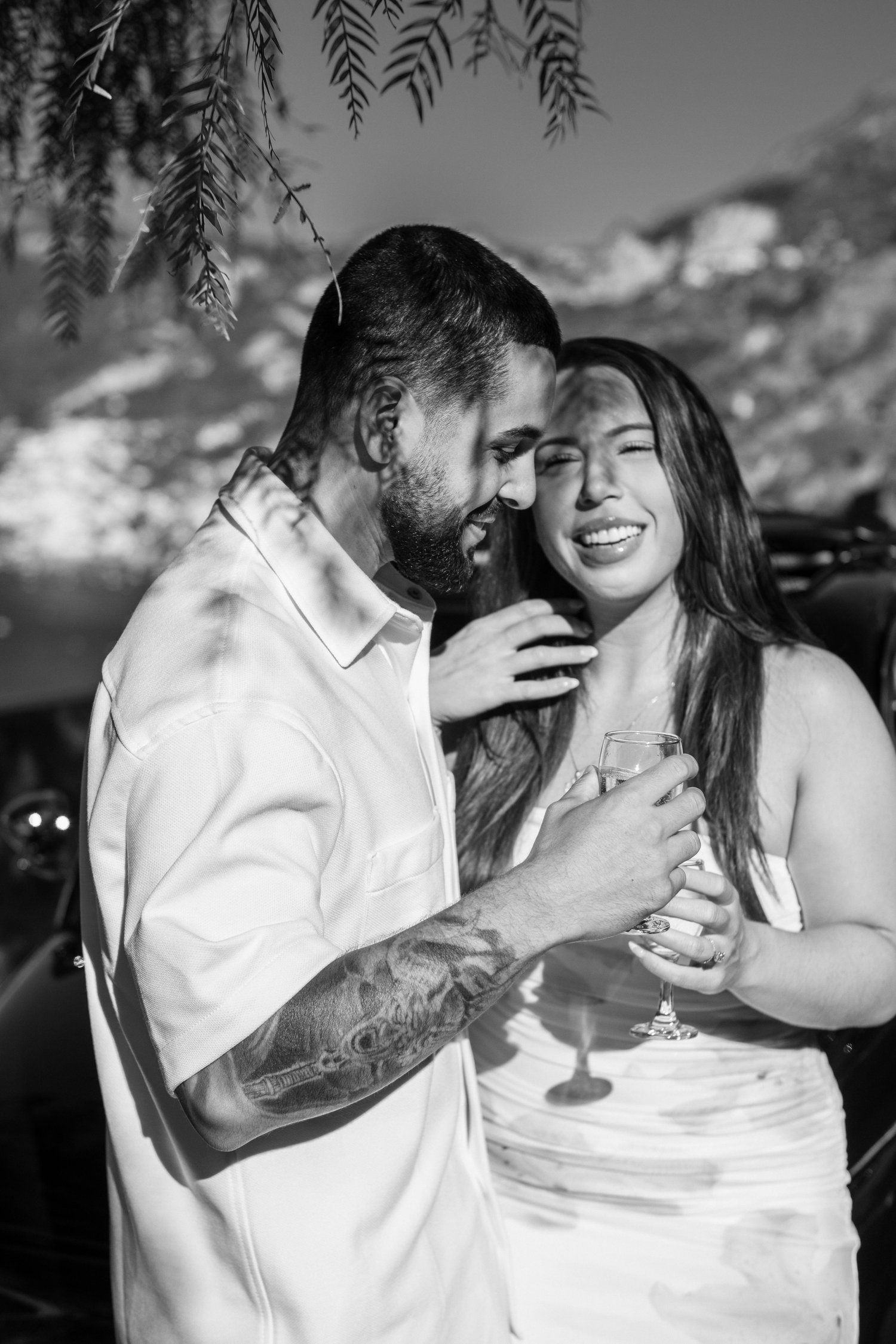 The Wedding Website of Rosalie Shnorhokian and Michael Vincent Petrillo