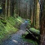 Appalachian Trail Conservancy