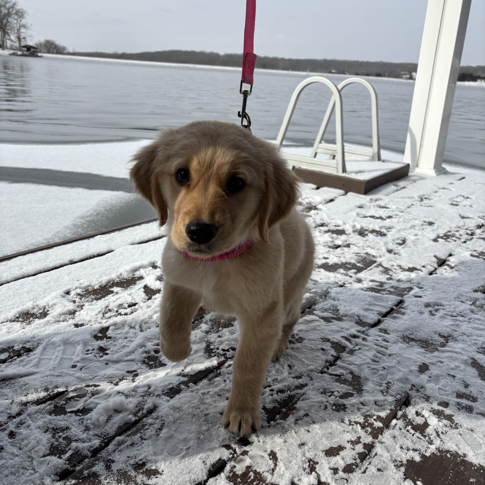 Benni's first lake trip!