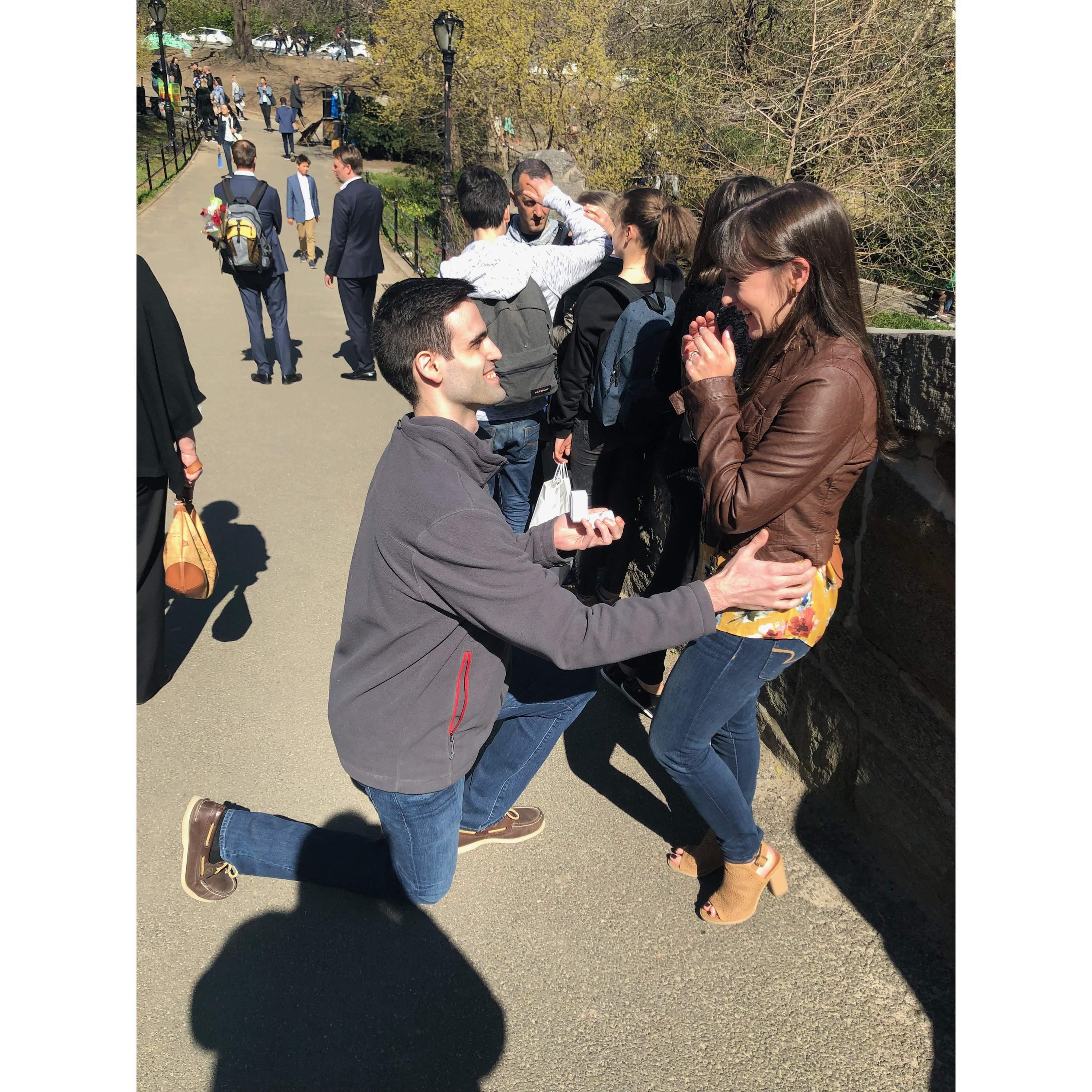 April 22, 2018 - Marko proposed in NYC on our favorite bridge in Central Park