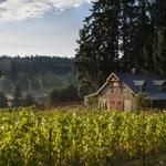 Spoiled Dog Winery