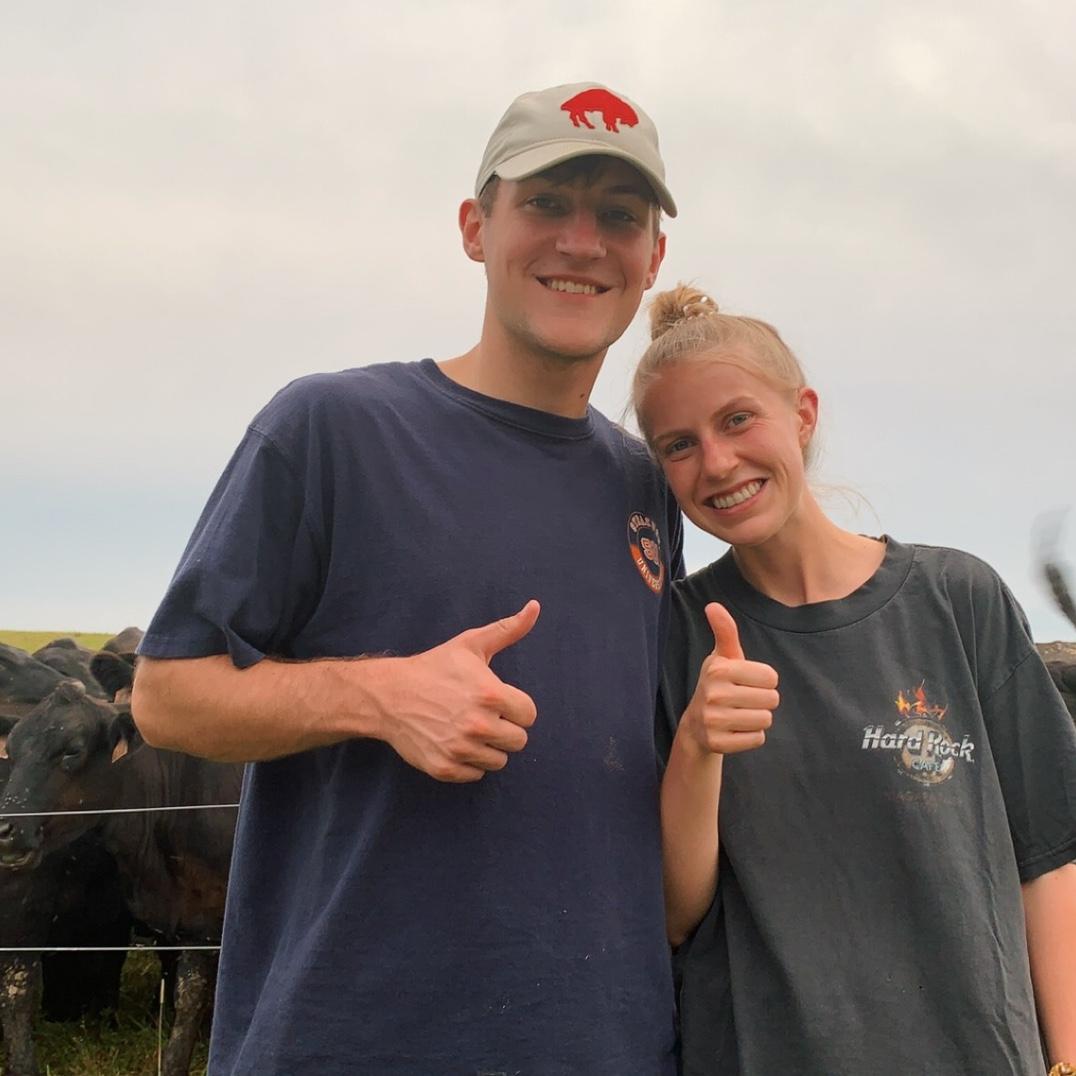 Camping with the cows (July 2021)
