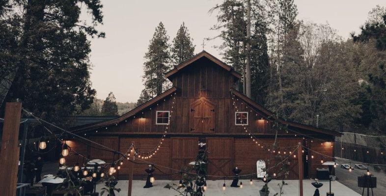 The Wedding Website of Corrie Hadley and Kelly DeWitt