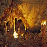 Mammoth Cave National Park