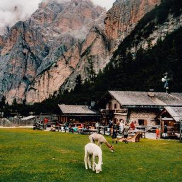 Honeymoon: One Night at Rifugio Scotoni