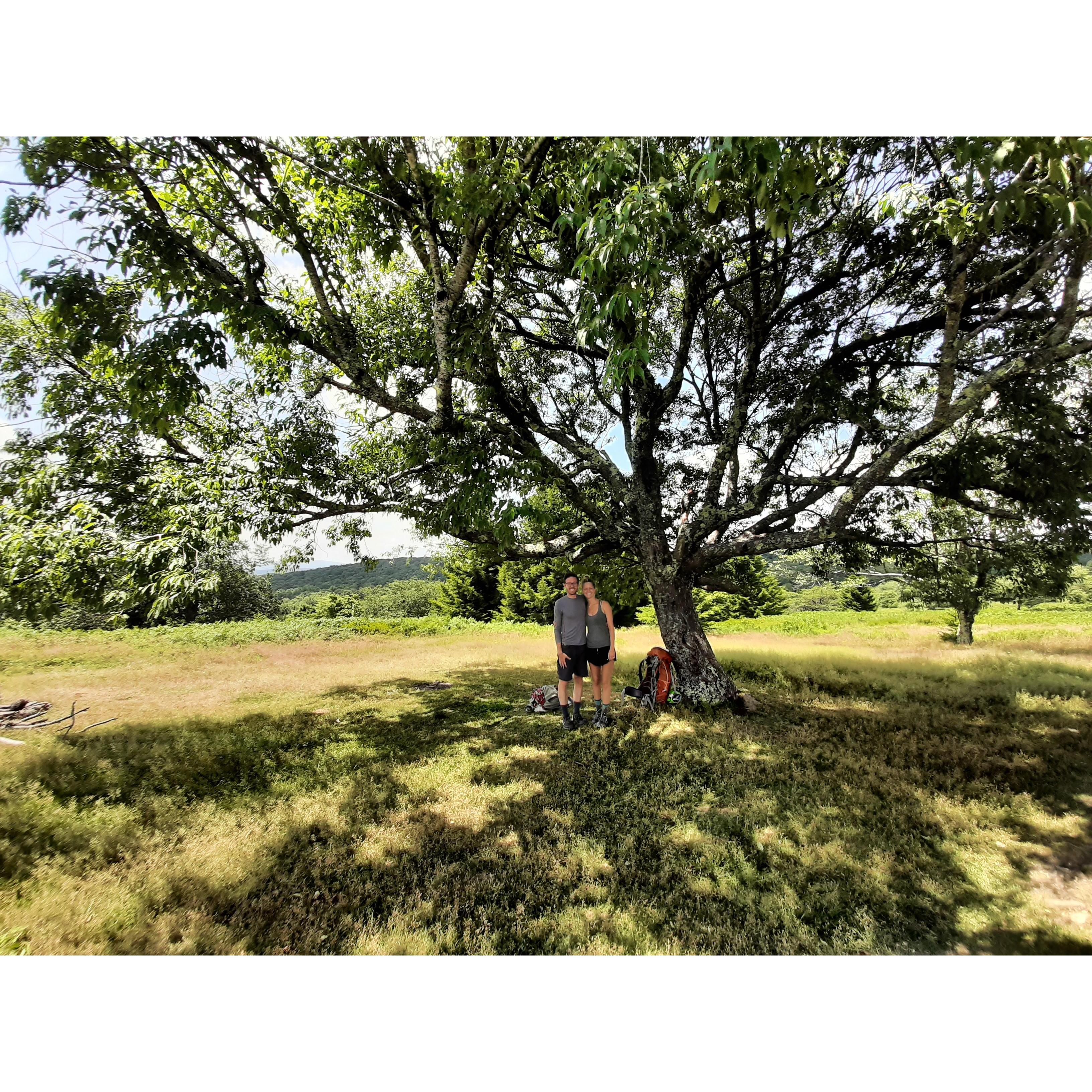 Dolly Sods at The Tree after our proposals to one another.