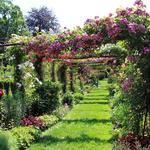 Smith College Botanical Garden