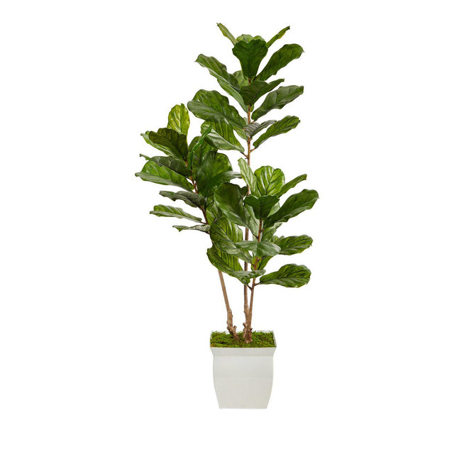 Nearly Natural 5.5ft. Fiddle Leaf Artificial Tree in White Metal Planter UV Resistant (Indoor/Outdoor)