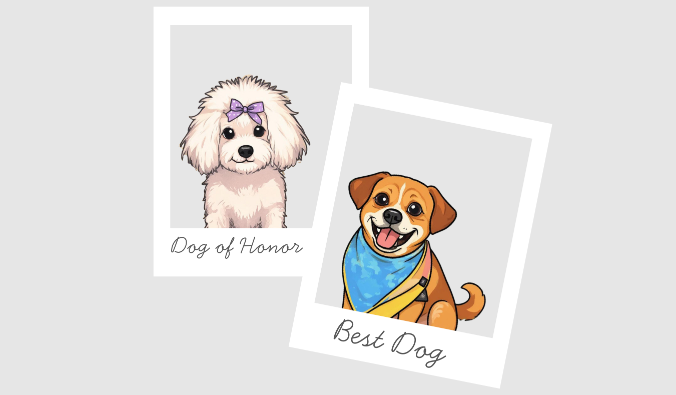 Footer image