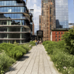For a Scenic Walk: The High Line
