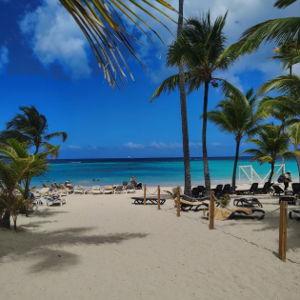 Honeymoon Excursions