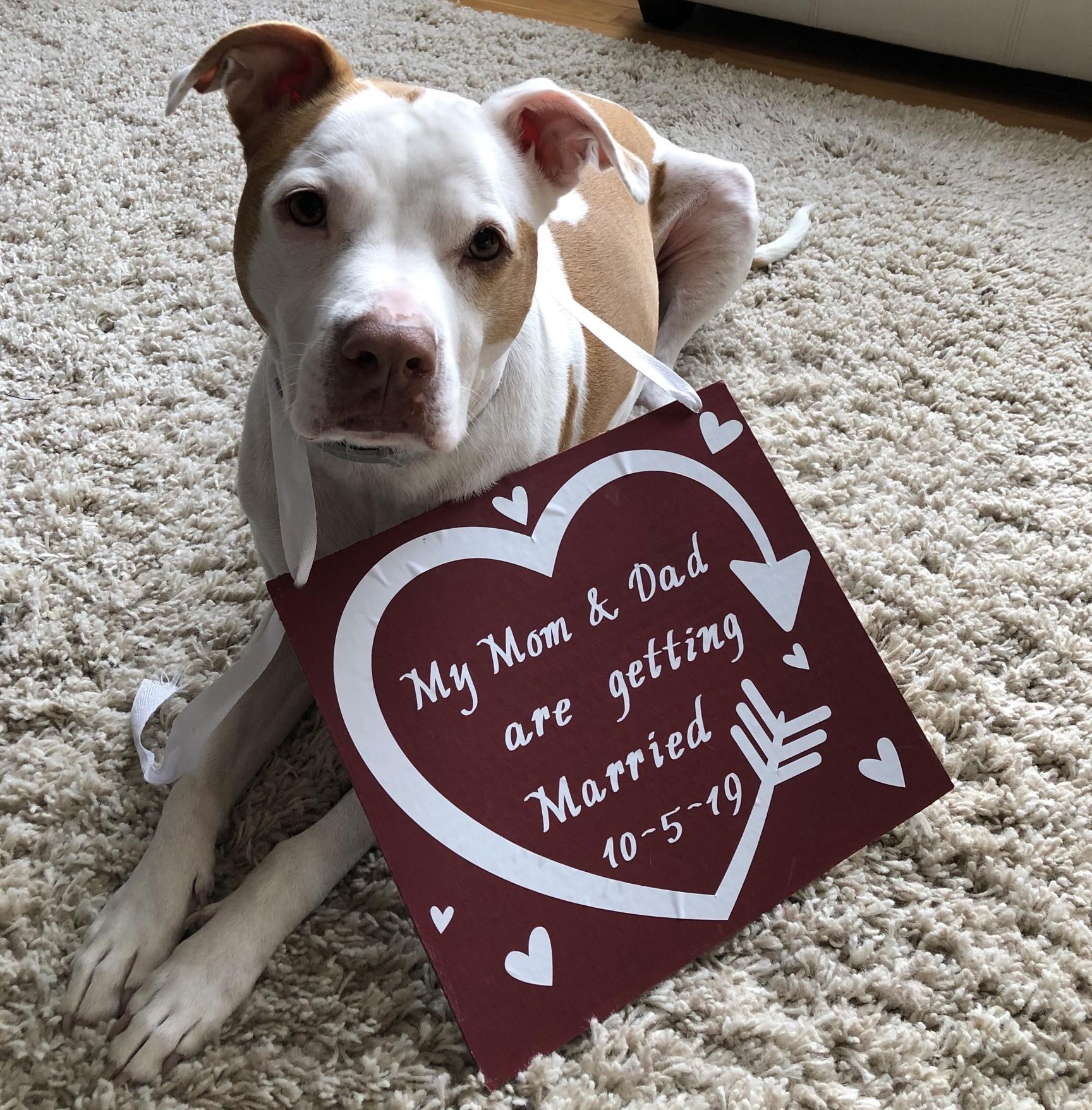 The Wedding Website of Ashlynn Bennett and Jared Feyko