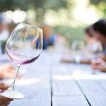 Wine tour & Tasting