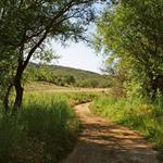 Daley Ranch