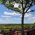 Montelle Winery