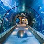 Oregon Coast Aquarium