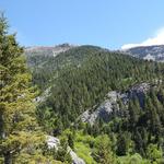 South Cottonwood Trailhead