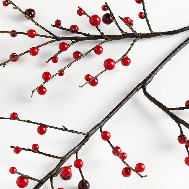 Red Berry Stem