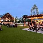 Lark Brewing Co.