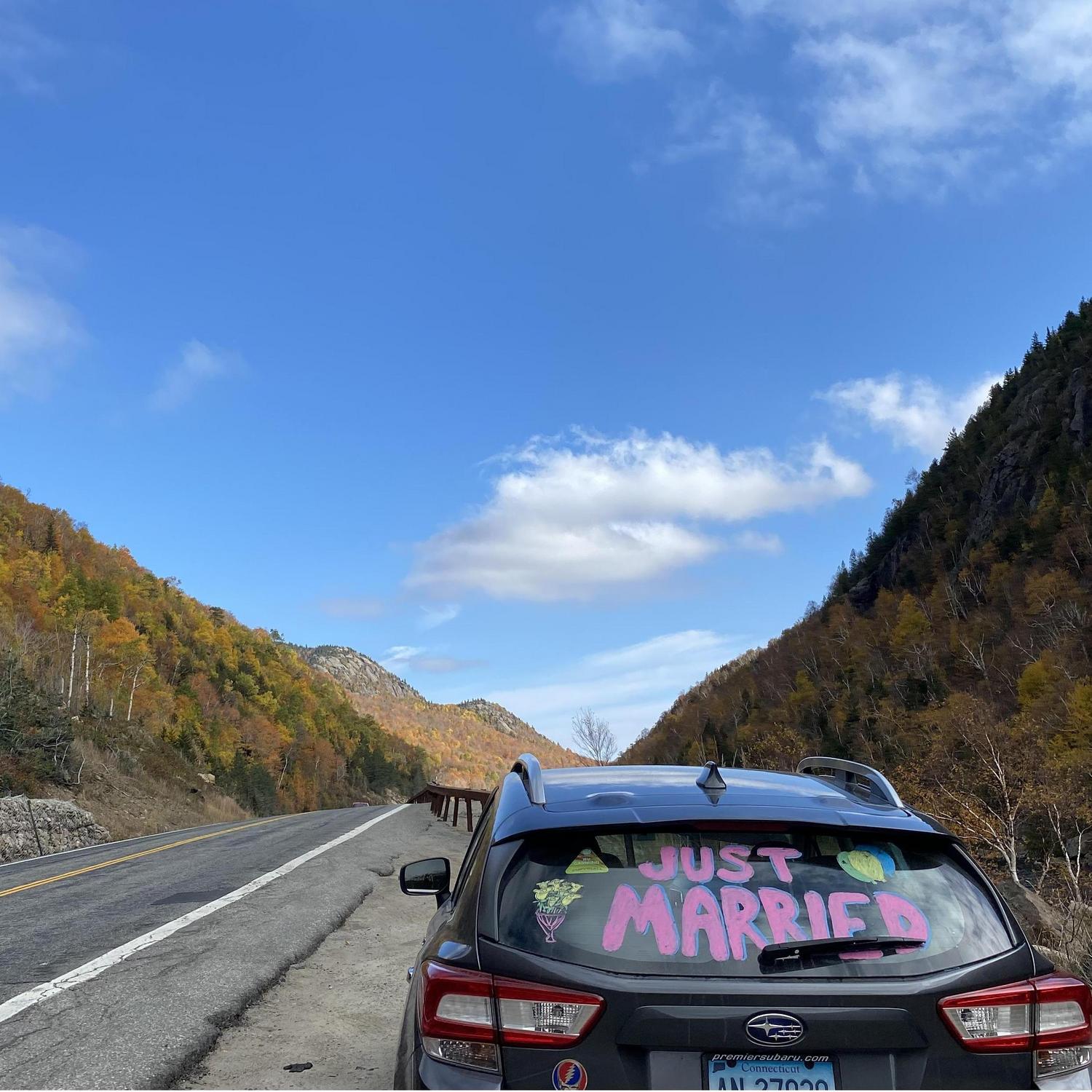 lots of honks and waves on our drive home, artistry by kay and the sisters