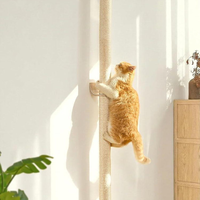 FUKUMARU Cat Wall Scratcher, 60" Tall Wall Mounted Kitten Scratching Post, Sturdy Sisal Climbing Tree for Indoor Large Cats