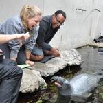 New England Aquarium