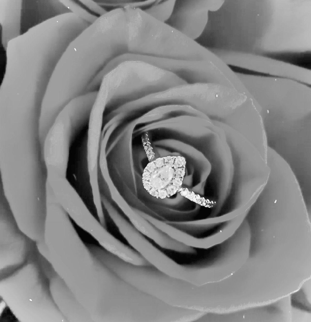 The Wedding Website of Kelly Cervantes and David Gamboa