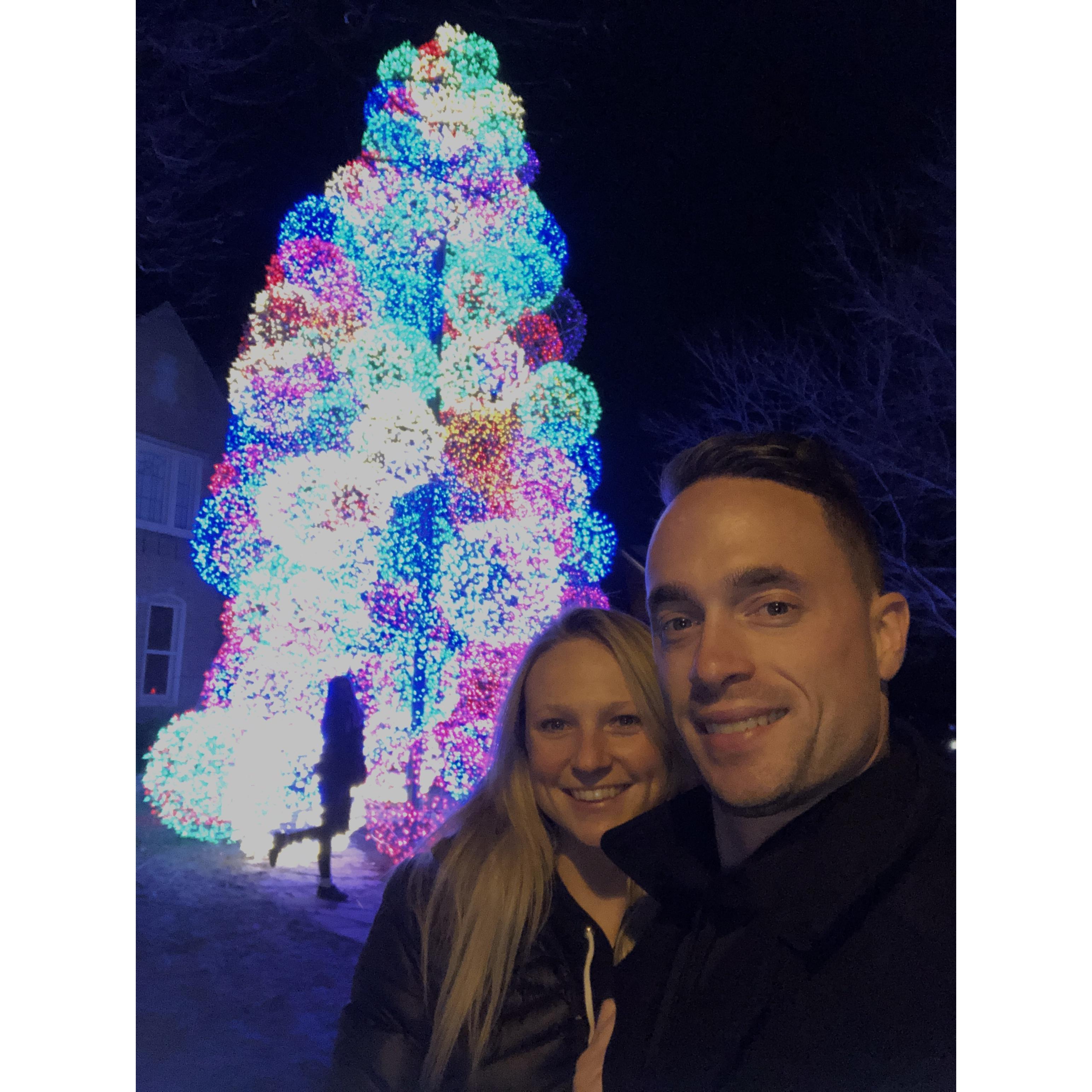 North Buffalo, December 2020