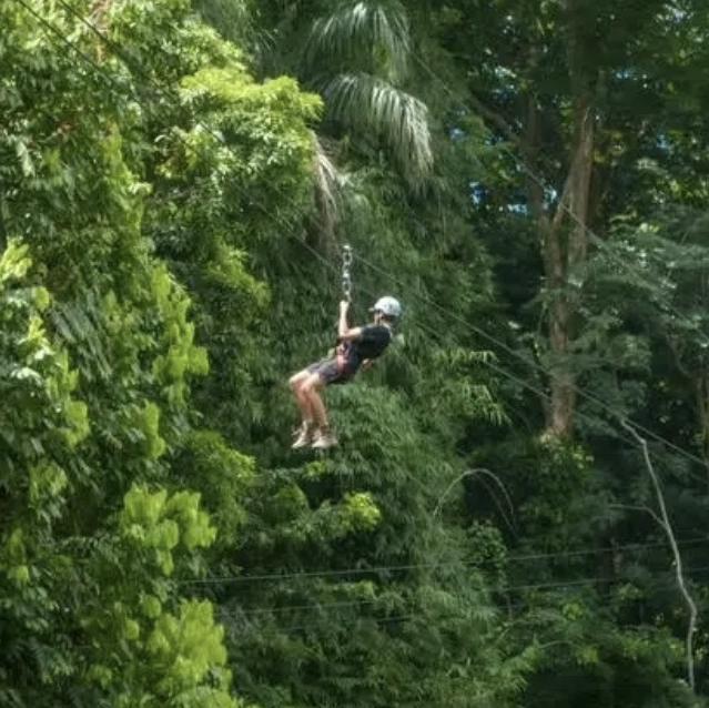 Zip-lining Through El Yunque Rainforest